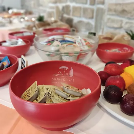 Morski Gaj Pensjonat Piran